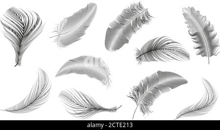 Vector Gold, rosa, silberne Federn Sammlung auf einem weißen Hintergrund gesetzt. Stock Vektor