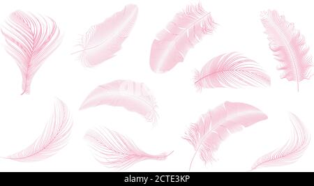Vector Gold, rosa, silberne Federn Sammlung auf einem weißen Hintergrund gesetzt. Stock Vektor