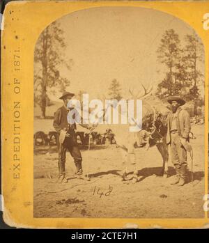 Bergtransport. Pack Maultier, Pack, und Packer., Geographische Studien West of the 100th Meridian (U.S.), O'Sullivan, Timothy H. (1840-1882), 1871, Vereinigte Staaten Stockfoto