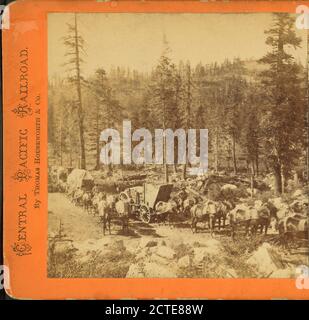 Teams auf dem Gipfel, Dutch Flat und Donner Lake Wagon Road, Placer County, Thomas Houseworth & Co., Central Pacific Railroad Company, Kalifornien Stockfoto