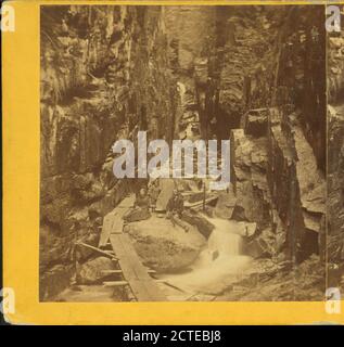 Besucher an der Flume, 1867., Fifield, H. S., Canyons, New Hampshire, Franconia Notch State Park (N.H Stockfoto