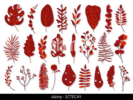Set aus exotischen roten tropischen Blatt. Hand gezeichnet verschiedenen abstrakten Dschungel floral botanischen Element Blätter Palme, Monstera für dekorative Komposition oder Einladungskarte isoliert auf weißem Vektor Illustration Stock Vektor