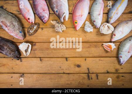 Karibischer frischer Fisch Meeresfrüchte auf altem Holztisch. Draufsicht. Nahaufnahme. Stockfoto