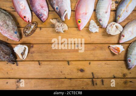 Karibischer frischer Fisch Meeresfrüchte auf altem Holztisch. Draufsicht. Nahaufnahme. Stockfoto