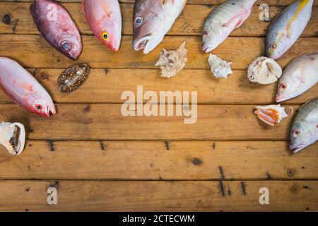 Karibischer frischer Fisch Meeresfrüchte auf altem Holztisch. Draufsicht. Nahaufnahme. Stockfoto