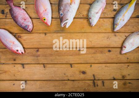 Karibischer frischer Fisch Meeresfrüchte auf altem Holztisch. Draufsicht. Nahaufnahme. Stockfoto