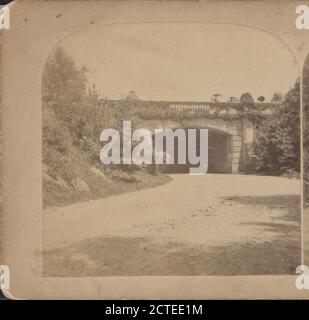 Ansicht einer Steinbrücke., Chase, W. M. (William M.) (Ca. 1818-1901), New York (Bundesstaat), New York (N.Y.), New York, Central Park (New York, N.Y.), Manhattan (New York, N.Y Stockfoto