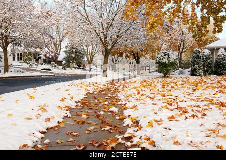 Frühe Schneehintergrund, Konzept des Klimawandels. Landschaftlich reizvolle Morgenlandschaft mit herbstlich hellen Bäumen und von frischem Erstschnee bedeckten Straßen. Stockfoto