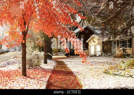 Frühe Schneehintergrund, Konzept des Klimawandels. Landschaftlich reizvolle Morgenlandschaft mit herbstlich hellen Bäumen und von frischem Erstschnee bedeckten Straßen. Stockfoto