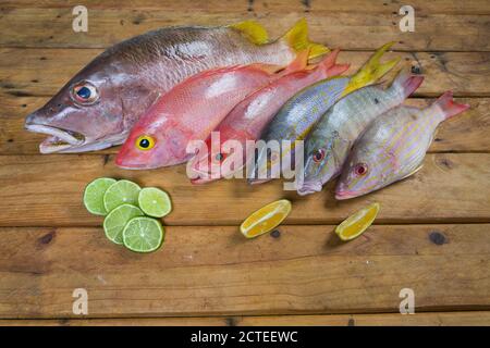 Karibischer frischer Fisch Meeresfrüchte auf altem Holztisch. Draufsicht. Nahaufnahme. Stockfoto