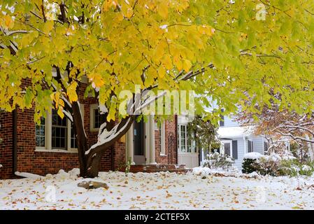 Frühe Schneehintergrund, Konzept des Klimawandels. Landschaftlich reizvolle Morgenlandschaft mit herbstlich hellen Bäumen und von frischem Erstschnee bedeckten Straßen. Stockfoto