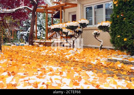 Frühe Schneehintergrund, Konzept des Klimawandels. Landschaftlich reizvolle Morgenlandschaft mit herbstlich hellen Bäumen und von frischem Erstschnee bedeckten Straßen. Stockfoto