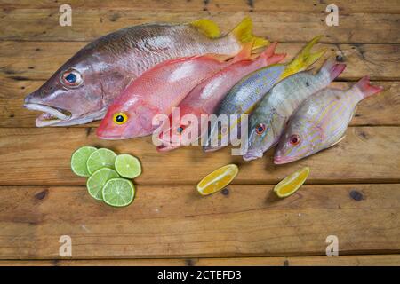 Karibischer frischer Fisch Meeresfrüchte auf altem Holztisch. Draufsicht. Nahaufnahme. Stockfoto