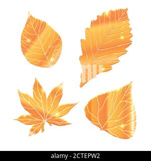 Set von realistischen goldenen Blättern mit Glitzern. Vektorelemente für Ihr Design. Stock Vektor