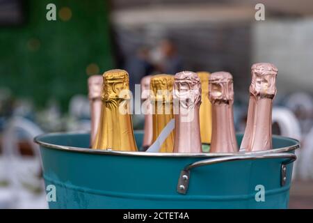 Auswahl an Champagner in Eiskübel mit Hintergrund verschwommen platziert Aus Stockfoto