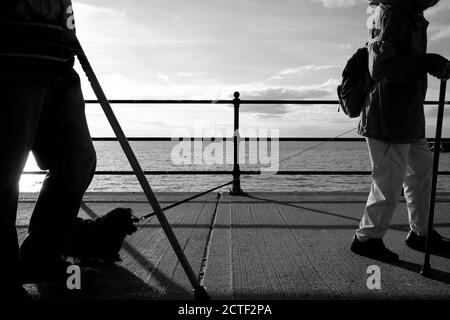 Rentnerpaar mit Stöcken, die entlang der Strandpromenade spazieren Gehen ihren Hund bei Sonnenuntergang Stockfoto