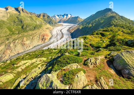 Großer Aletschgletscher, der größte Gletscher der Alpen und UNESCO-Weltkulturerbe vom Aussichtspunkt Moosfluh im Kanton Wallis, Schweiz, Europa. Sommer Stockfoto