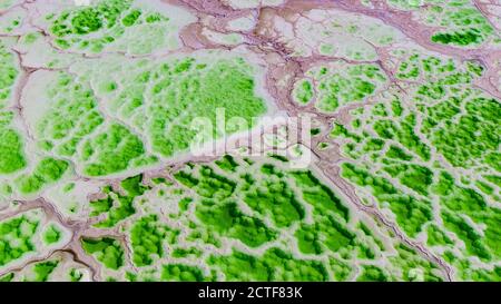 Luftaufnahme des Mangya Jade Lake, einem künstlichen Salzsee, der verschiedene Grüntöne in Mangya, nordwestlich der chinesischen Provinz Qinghai, präsentiert, 16 Aug Stockfoto