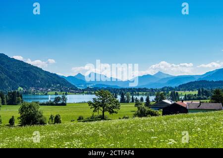 Walchsee bei Koessen am Wilden und Zahmer Kaiser in Tirol, Österreich. Stockfoto