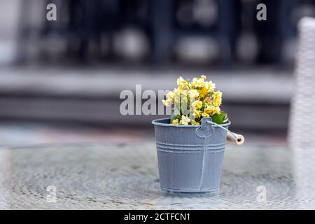 Kleiner Blumentopf auf dem Straßencafé-Tisch, minimalistischer Stil, unfokussierte Hintergrund Stockfoto