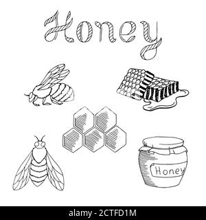 Honey Bee Set Text Grafik Kunst schwarz weiß isoliert Illustration vektor Stock Vektor