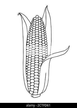 Mais Grafik Kunst schwarz weiß isoliert Illustration Vektor Stock Vektor