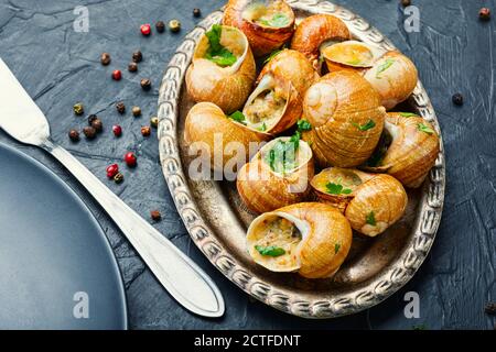 Gebackene Schnecken.Schnecken in Vintage-Tray.gefüllte Escargots.Frankreich Essen Stockfoto