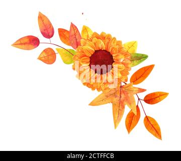 Herbststrauß mit Sonnenblume, Aquarell Herbst Blumenarrangement für Grußkarten, Plakate oder Hochzeitseinladungen, isoliert auf weiß, eine Ecke Stockfoto