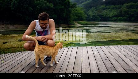 Ein Mann spielt mit einer heimische rot gestromte Katze. Die Katze reibt sich am mans Bein. Nach dem Regen Stockfoto