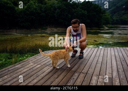 Ein Mann spielt mit einer heimische rot gestromte Katze. Die Katze reibt sich am mans Bein. Nach dem Regen Stockfoto