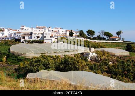 Blick auf das Dorf mit Pflanzen, die unter Poly-Tunneln im Vordergrund wachsen, Maro, Spanien. Stockfoto