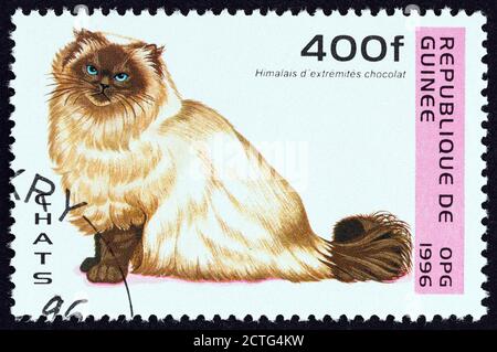 GUINEA - UM 1996: Eine in Guinea gedruckte Marke aus der 'Cats'-Ausgabe zeigt Chocolate Point Himalayan Cat, um 1996. Stockfoto