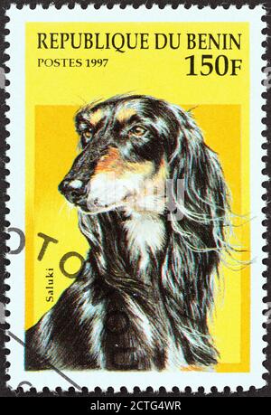 BENIN - UM 1997: Eine in Benin gedruckte Briefmarke aus der 'Dogs'-Ausgabe zeigt einen Saluki, um 1997. Stockfoto