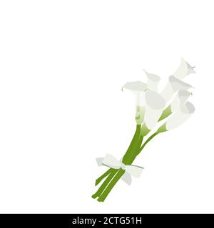 Bouquet von weißen Calla Lilien mit weißer Seidenschleife isoliert auf weißem Hintergrund. Karte mit Hochzeitsstrauß zur Hochzeitsdekoration. Stock Vektor