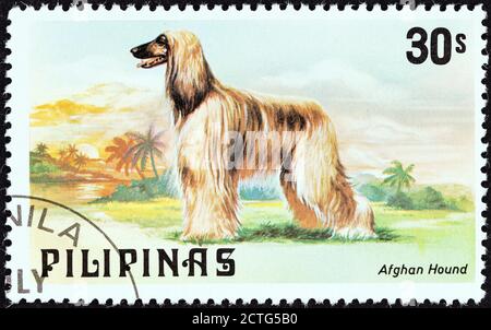 PHILIPPINEN - UM 1979: Eine auf den Philippinen gedruckte Briefmarke aus der 'Katzen und Hunde'-Ausgabe zeigt einen afghanischen Hund, um 1979. Stockfoto