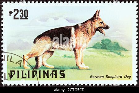 PHILIPPINEN - UM 1979: Eine auf den Philippinen gedruckte Briefmarke aus der 'Katzen und Hunde'-Ausgabe zeigt einen Schäferhund, um 1979. Stockfoto