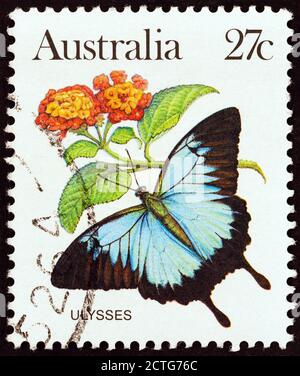 AUSTRALIEN - UM 1981: Eine in Australien gedruckte Briefmarke zeigt einen Papilio Ulysses Schmetterling, um 1981. Stockfoto