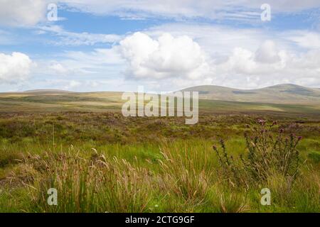 Eine schöne Aussicht auf die Berge in Wicklow Mountains National Park in Irland Stockfoto