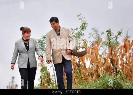 (200923) -- ZHENYUAN, 23. September 2020 (Xinhua) -- die Dorfbewohnerin Zhang Xiaohua und ihr Mann Xue Jinzhang gehen durch ein Farmfeld im Dorf Wuyuan der Gemeinde Xinji, Bezirk Zhenyuan, nordwestlich der Provinz Gansu, 21. September 2020. Zhangs Familie wurde 2013 als verarmter Haushalt registriert. Im Jahr 2019 begann sie mit Unterstützung der lokalen Regierung Kaninchen und Ziegen zu züchten, die ihr Boni und Dividenden boten, während ihr Mann Xue Jinzhang einen Job in der Nähe von zu Hause bekam. Das Ehepaar Zhang und einige andere im Dorf schüttelten im September 2020 die Armut ab. (Xinhua/Chen Bin) Stockfoto