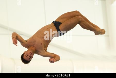TOM DALEY - 10 METER PLATTFORM-EVENT BEIM BRITISCHEN GAS NATIONAL DIVING CUP SOUTHEND-ON-SEA COPYRIGHT PICTURE : © MARK PAIN / ALAMY Stockfoto