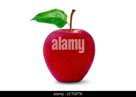 Rote Äpfel und grüne Blätter isoliert auf weißem Hintergrund mit dem Schnittpfad. Stockfoto