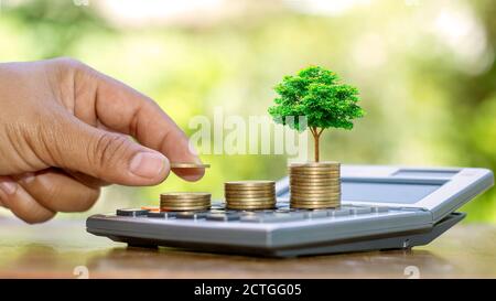 Pflanzen Sie Bäume auf Münzen und Rechnern, Finanzbuchhaltung Konzepte und sparen Sie Geld. Stockfoto