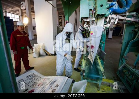 Region Aktöbe/Kasachstan - Mai 04 2012: Ölraffinerie. Arbeiter in schützenden Overalls und Atemschutzmasken, die gelben Schwefel (Schwefel) in Säcke verpacken Stockfoto