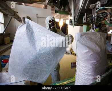 Ölraffinerie-Werk. Verpackung gelben Schwefel in Plastiktüten. Unsichere Arbeit und Arbeiter in Gasmaske. Stockfoto