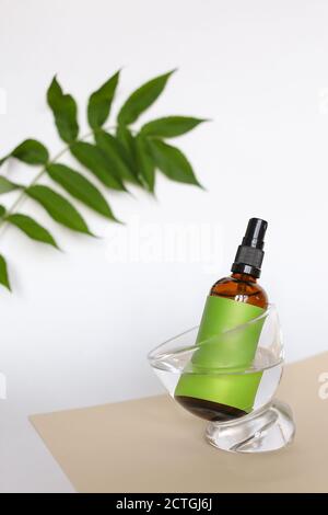 Nahaufnahme Glasflasche wirth kosmetisches Produkt und Grünfläche für Marke nahe Blatt. Stockfoto