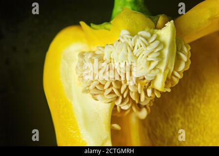 Gelbe Paprika ausgeschnitten zeigt Samen Stockfoto