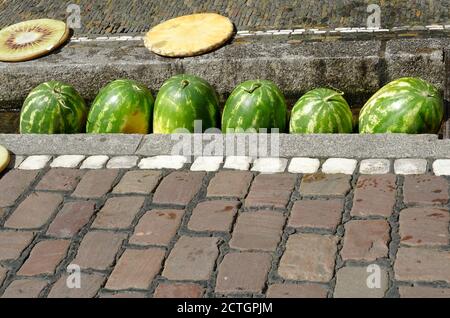 Wassermelonen im kleinen Stadtbach Bächle in Freiburg, die typisch für die Stadt sind. Die Früchte kühlen im Wasser ab, da es heiß ist. Stockfoto