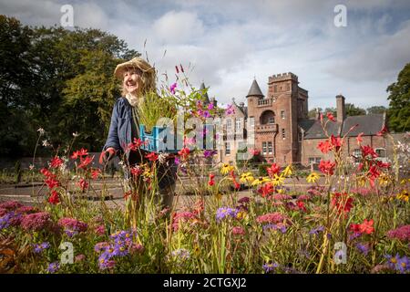 Die Volunteer Katie Dessain hilft bei der Pflanzung des neuen Gartens, der vom Gärtner und Designer Nigel Dunnet als Reaktion auf die 800-jährige Gartengeschichte des Standorts Hospitalfield in Arbroath geschaffen wurde. Stockfoto