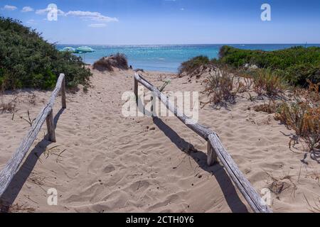 Zaun zwischen Dünen in Apulien, Italien. Der Strand Lido Marini erstreckt sich über mehr als zwei Kilometer, im Bereich der Gemeinden Salve und Uge Stockfoto