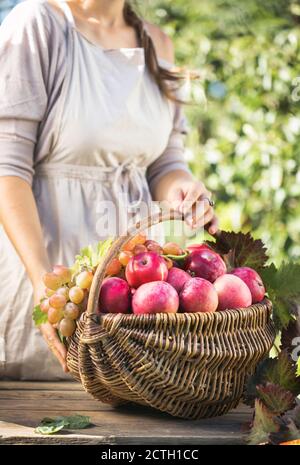 Frau mit Korb voller reifen Äpfeln in einem Garten. Apfelernte. Herbstkonzept Stockfoto